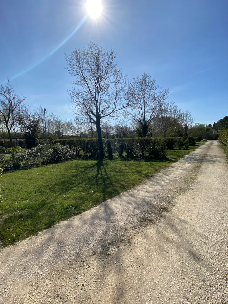 Emplacement Avec Ou Sans Véhicule + Caravane, Tente Ou Camping-Car