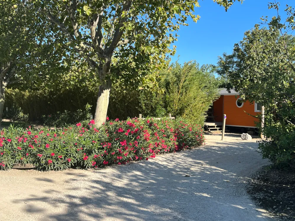 Camping L'Arlésienne