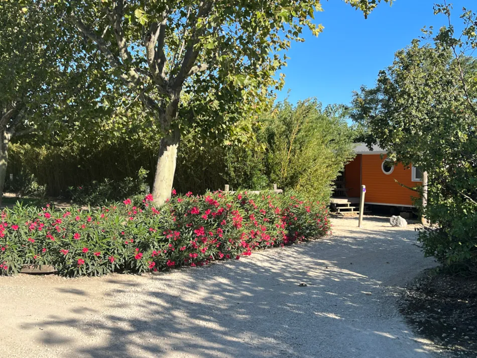 Camping L'Arlésienne