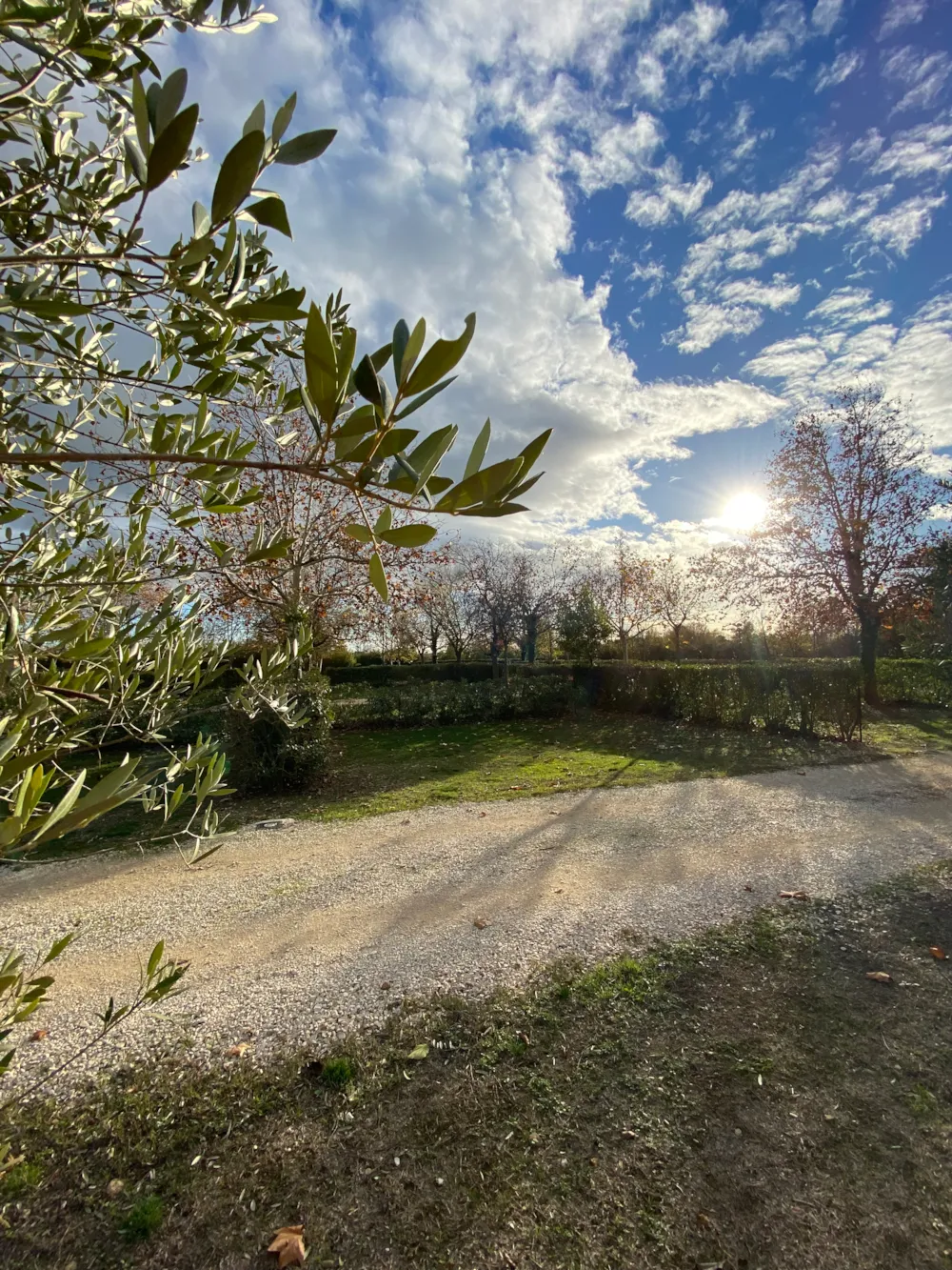 Camping L'Arlésienne