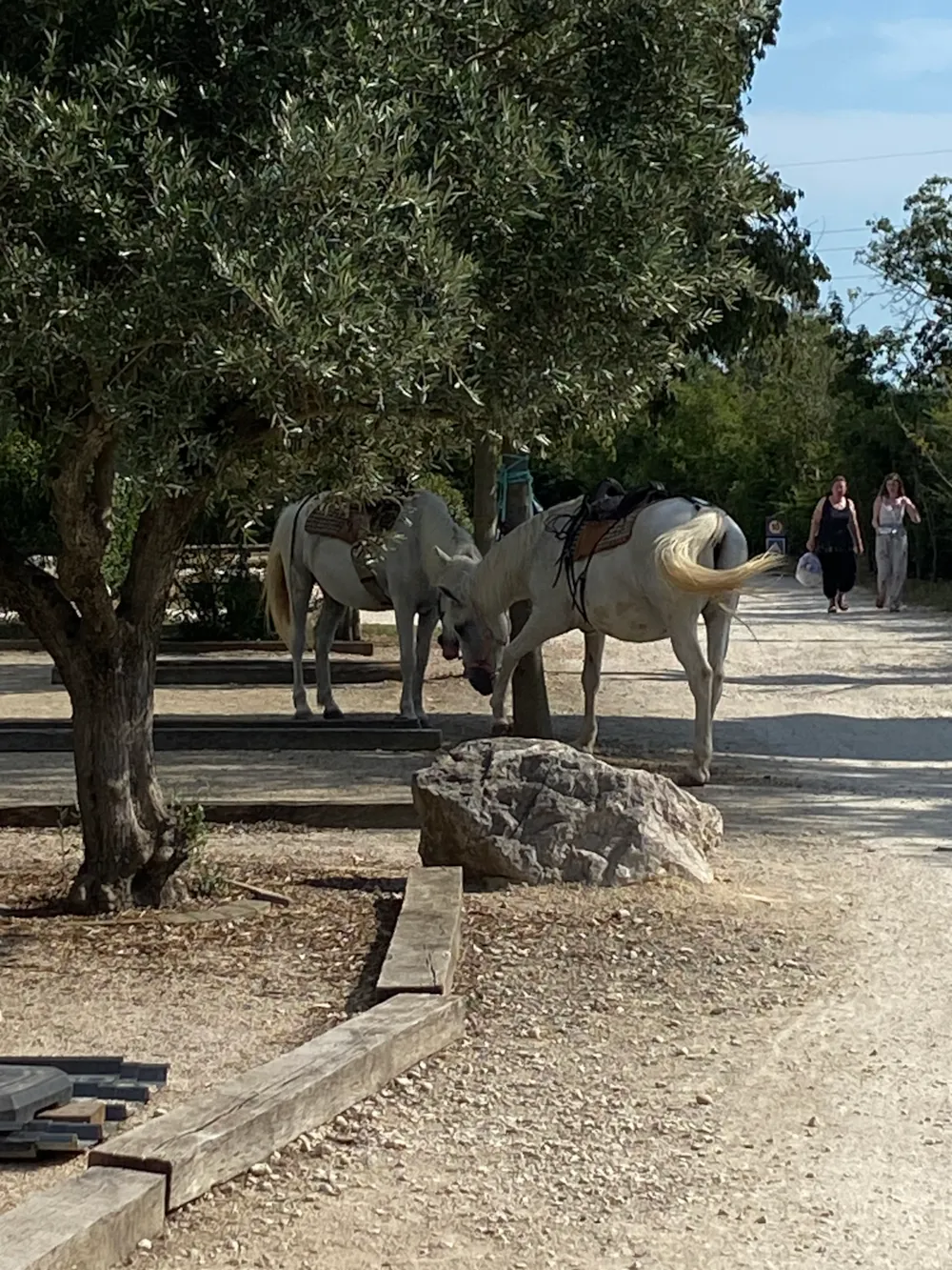 Camping L'Arlésienne