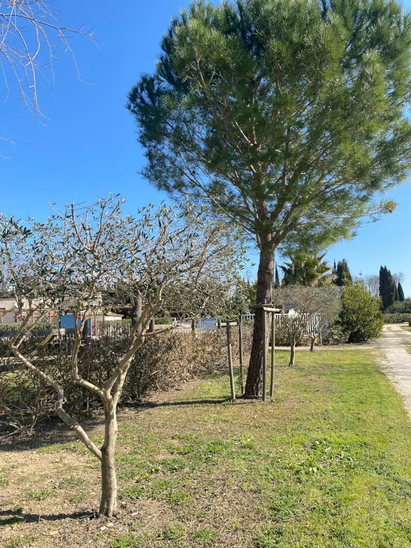 Emplacement Avec Ou Sans Véhicule + Caravane, Tente Ou Camping-Car