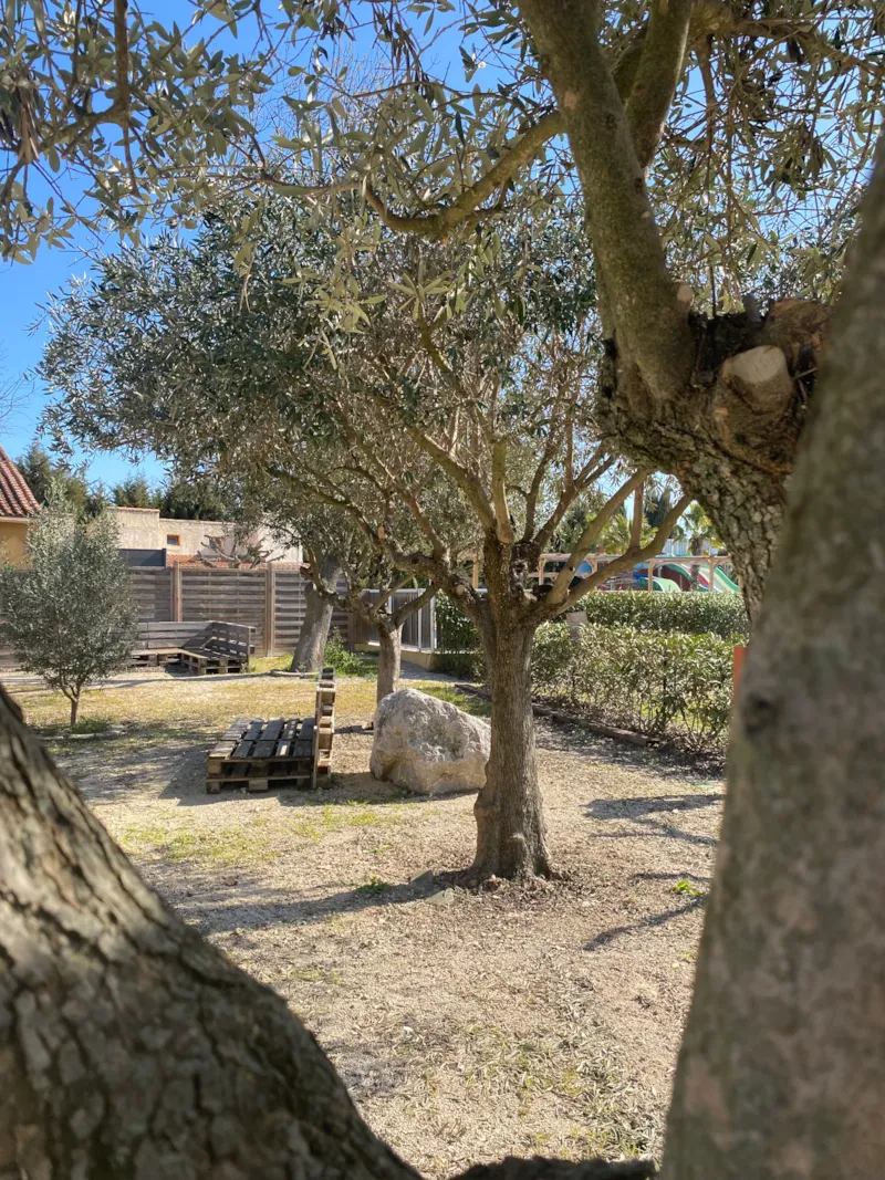 Emplacement Avec Ou Sans Véhicule + Caravane, Tente Ou Camping-Car