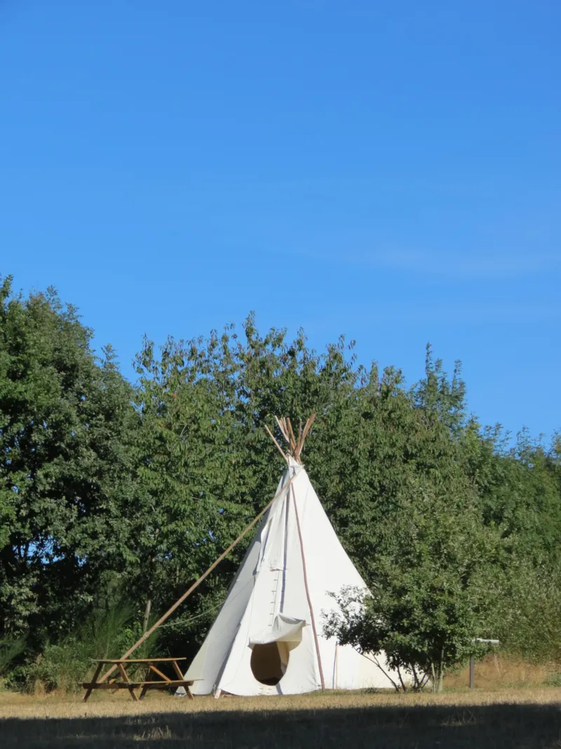 Tipi