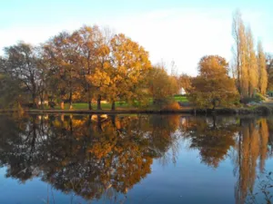 Camping l'Etang du Puy - MyCamping