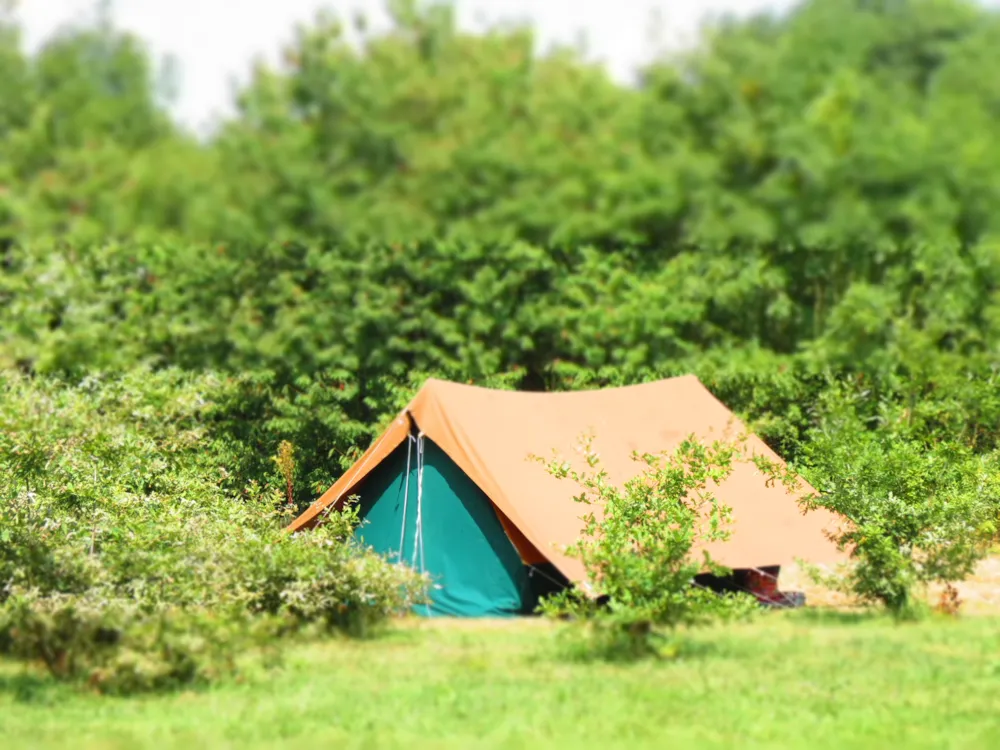 Kampeerplaats(en) - Emplacement 1 Personne - Camping l'Etang du Puy