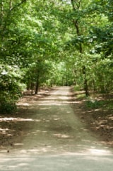 Foto #20 van Camping Boslust