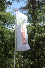 Foto #10 van Camping Boslust