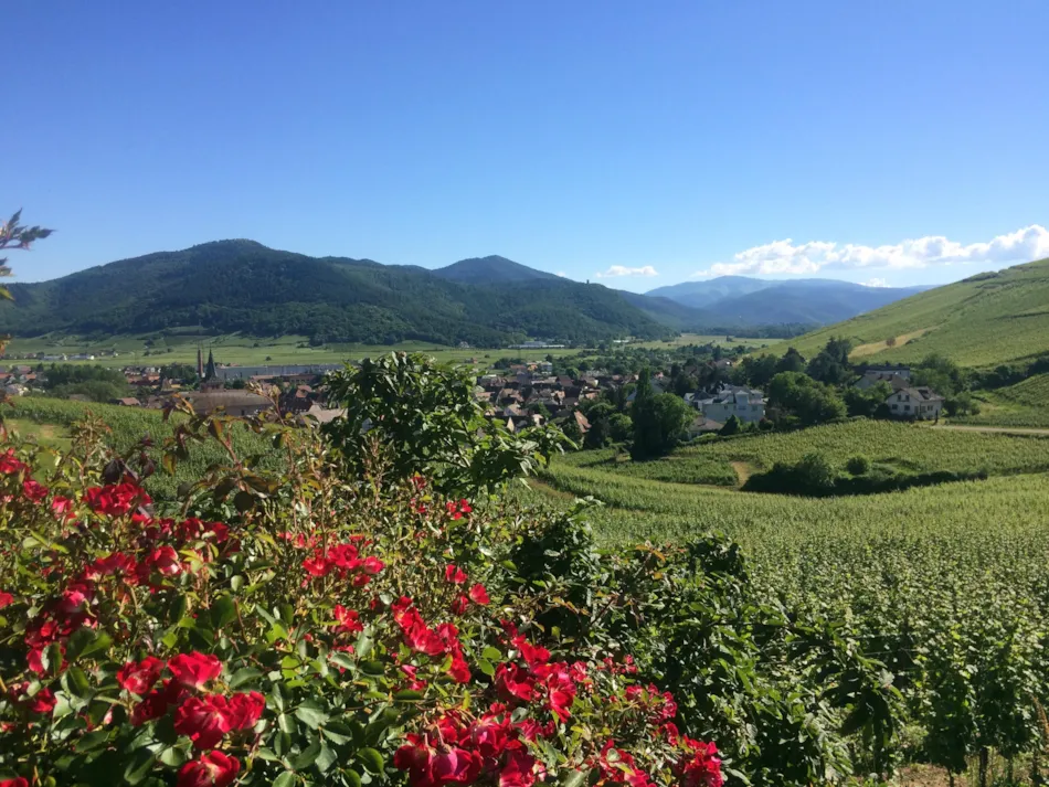 Camping Le Médiéval