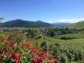 Camping Le Médiéval