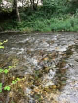 Foto #24 van Camping de Montolieu