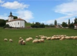 Foto #20 van Camping Antton