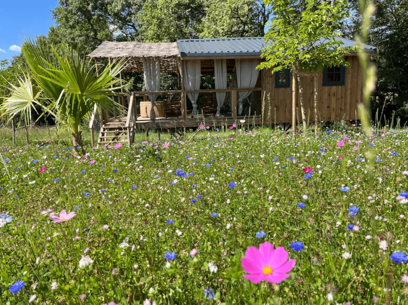 Cabane Lodge Duo Spa (17 M² - 1 Ch)