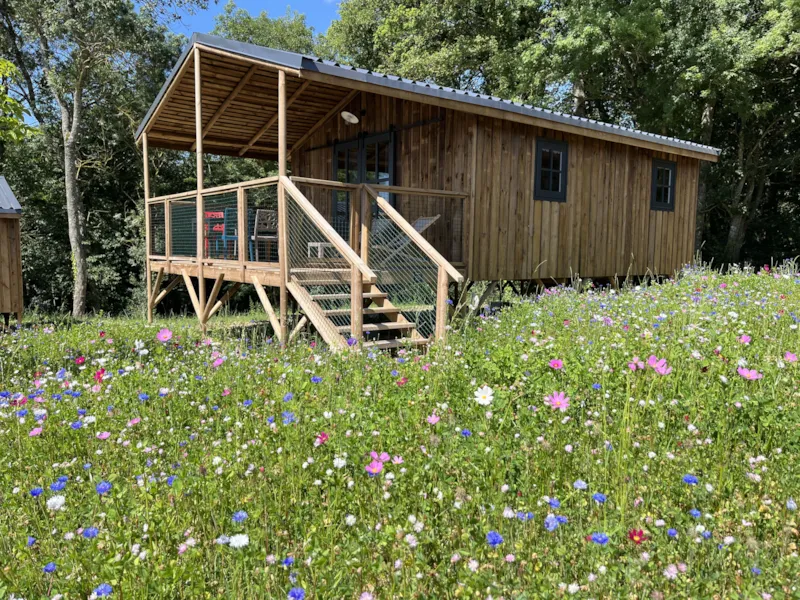 Cabane Lodge Familiale (29 M² - 2 Ch)