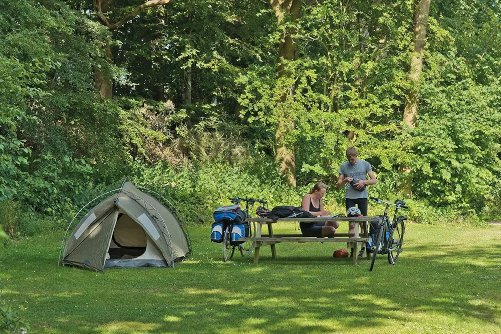 Horsens City camping ApS - image n°6 - Camping Direct