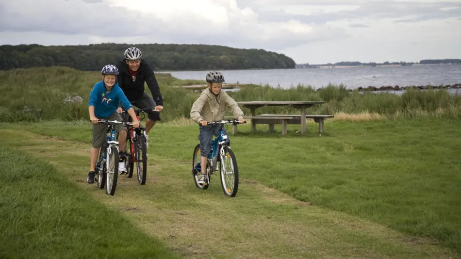 Horsens City camping ApS