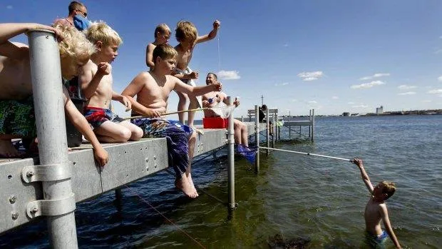 Horsens City camping ApS