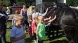 Foto #54 van Horsens City camping ApS