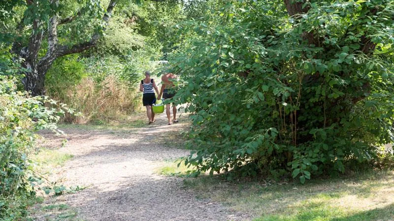 Emplacement Camping-Car Sur Emplacement Gravillonné