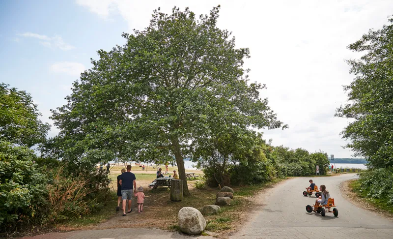 Remise Emplacement Sur Les Surfaces En Pierre