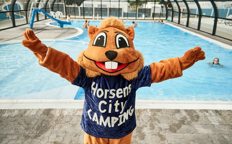 Cabane 25M² Salle De Bain