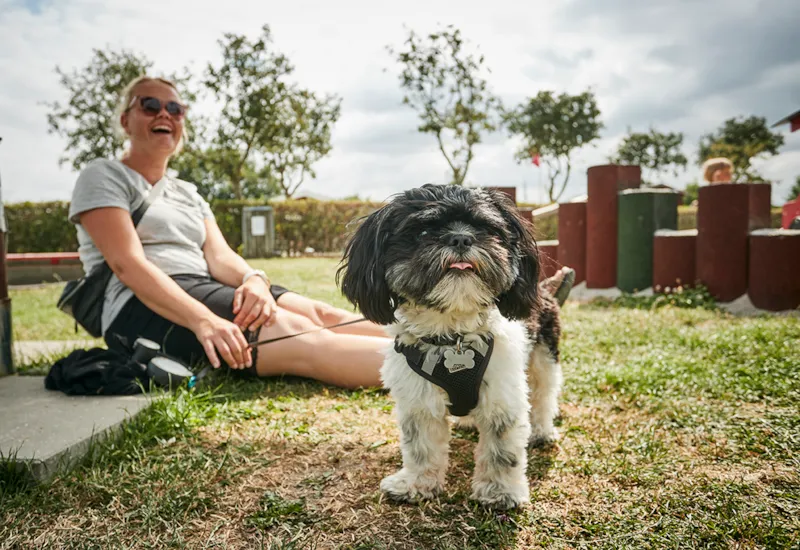 Emplacement 1.Rang - Vue Sur Horsens Fjord