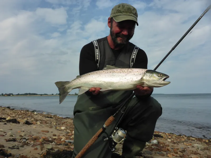 Emplacement 1.Rang - Vue Sur Horsens Fjord