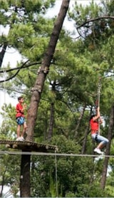 Foto #30 van Plein Air Locations – Camping Palmyre Loisirs