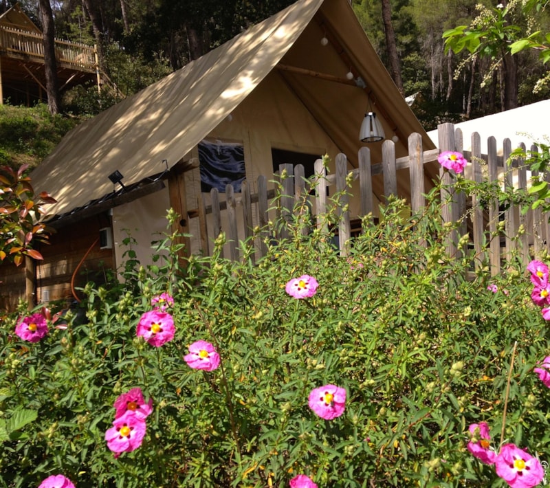 Tente Lodge Famille (Type Samedi)