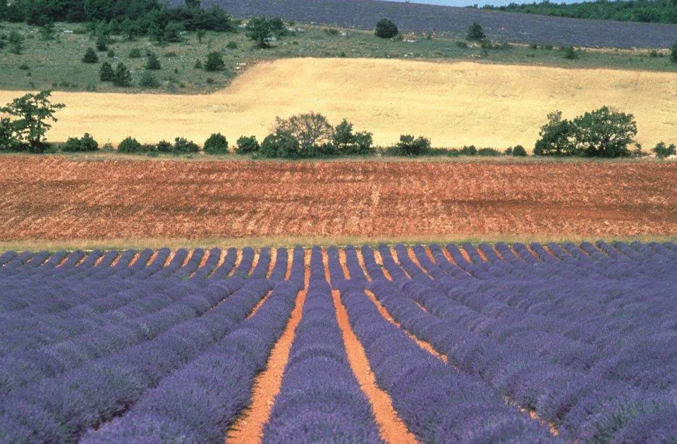 Domaine de Bélézy