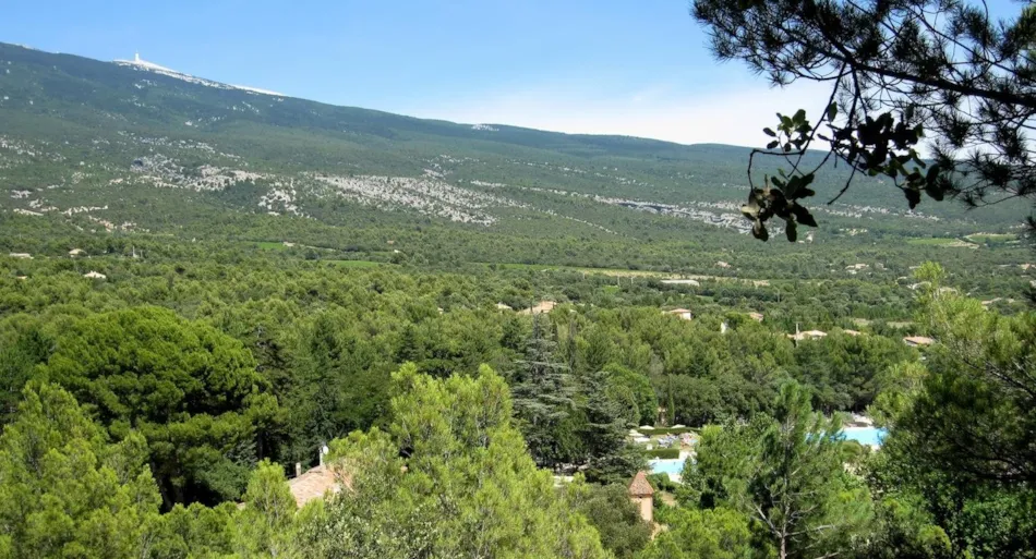 Domaine de Bélézy