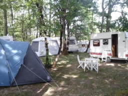 Moorea Camping - image n°4 - 