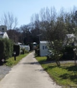 Foto #8 van Flower Camping de la Corniche