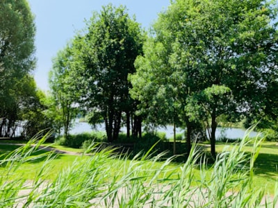 Natura Resort Pescalis - Terres de France