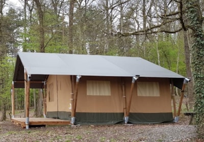 Safari Tent Forest 311(without toilet blocks) — 3
