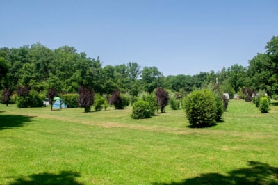 Grass Camping pitch, Field D