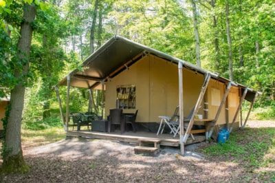Safari Tent in the forest