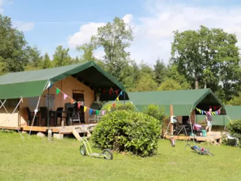 Location - Tente Safari Sur Le Champ - Camping Papillon Rochefort