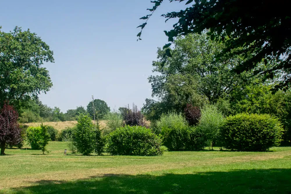 Campingstellplatz Auf Rasen, Feld D, Mit Strom