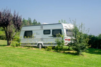 Grass camping pitch - Field D with electricity