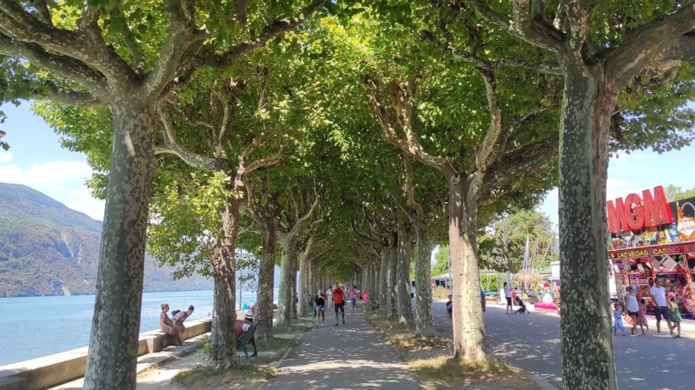 Family's Camping Le Savoy - image n°23 - Savoie