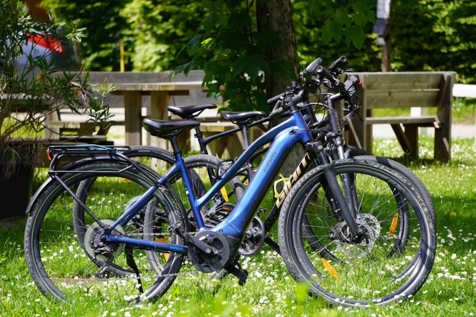 Family's Camping Le Savoy