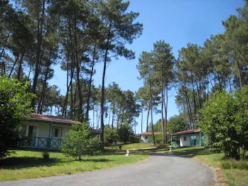 Domaine des Grands Pins - MyCamping