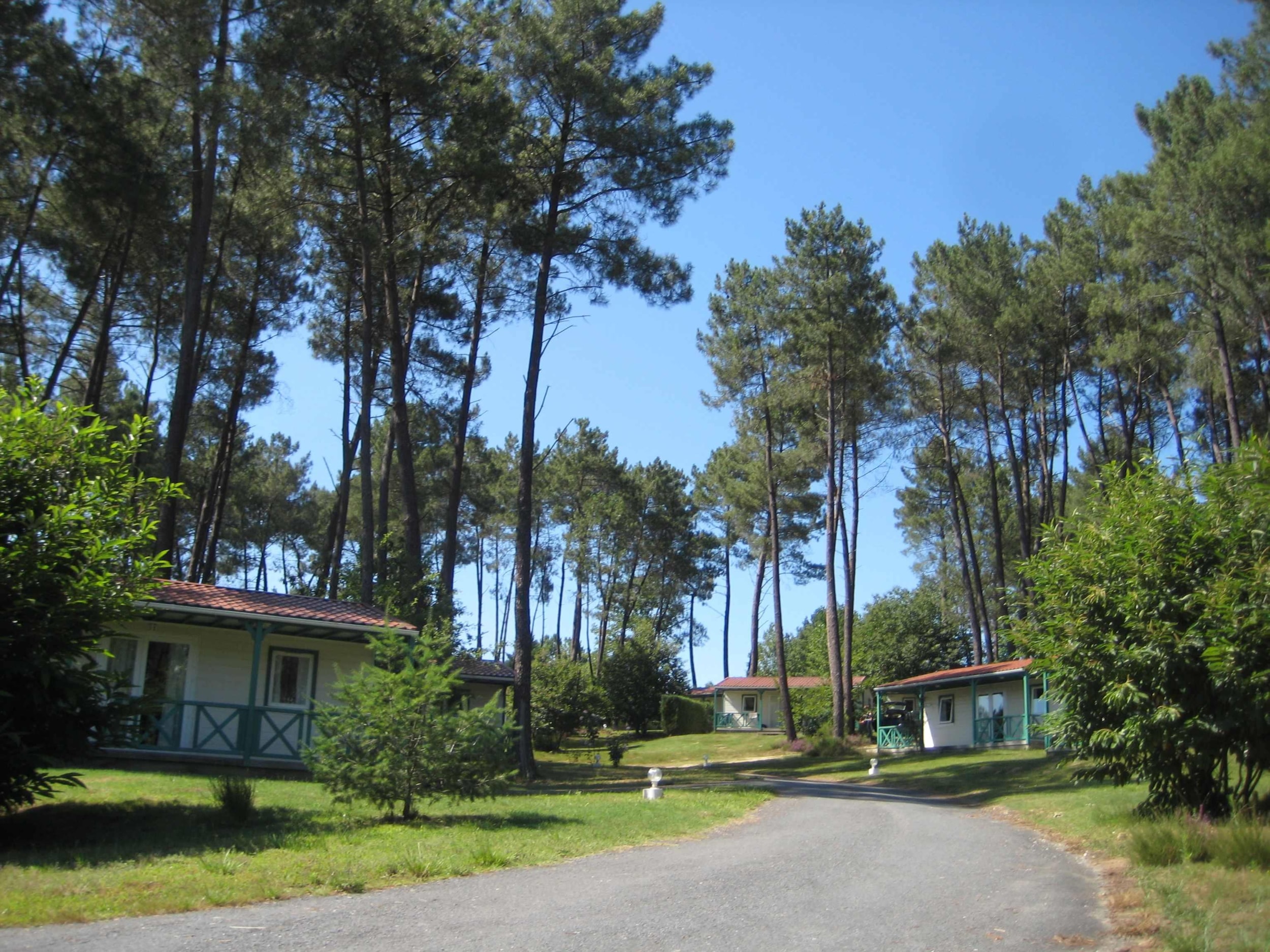 Domaine des Grands Pins — Photo 2