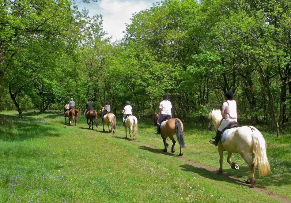 Domaine des Grands Pins