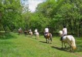 Foto #18 van Domaine des Grands Pins