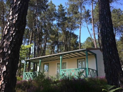 Chalet Chataignier Confort + air-conditioning