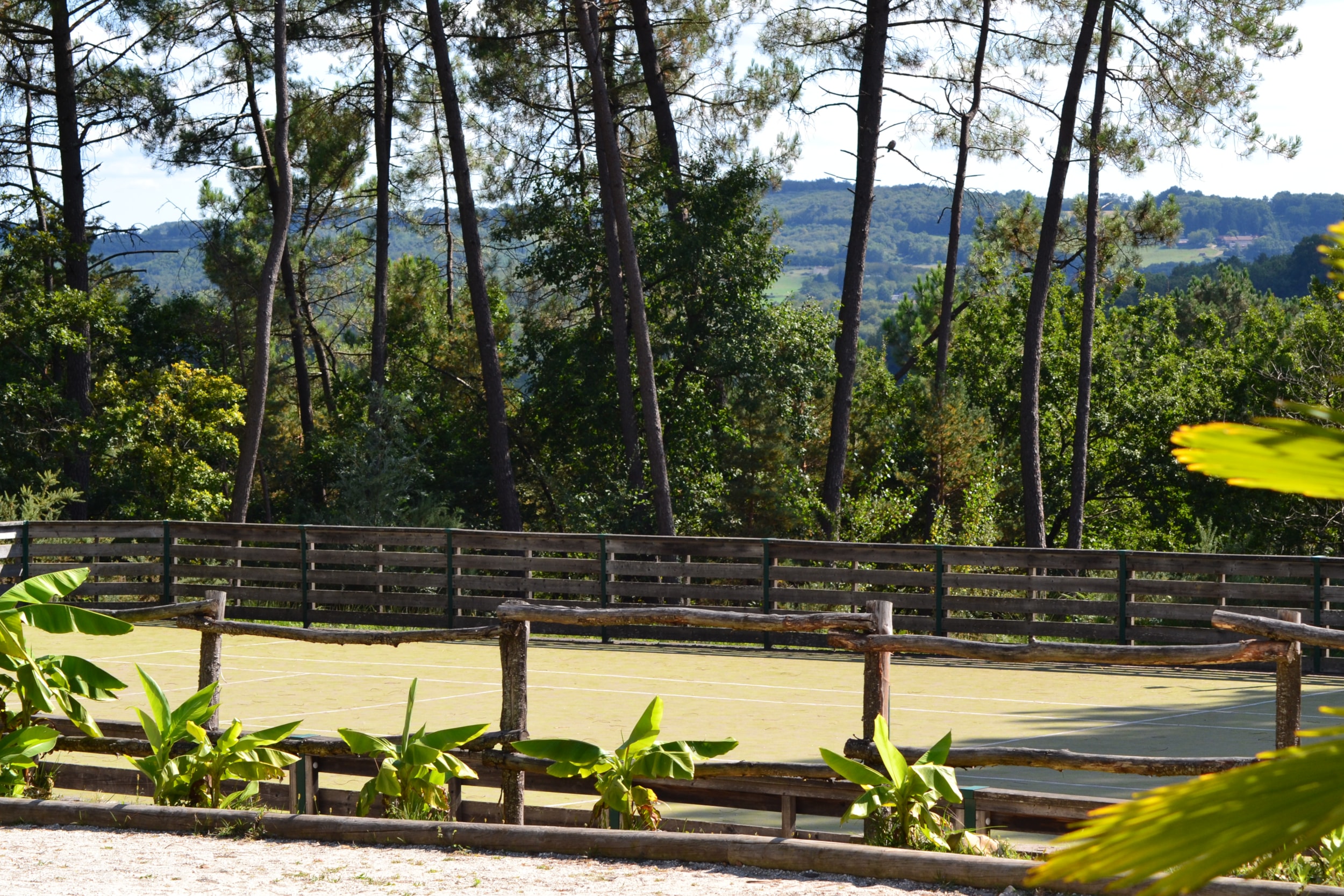 Domaine des Grands Pins — Photo 5