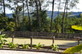 Foto #5 van Domaine des Grands Pins