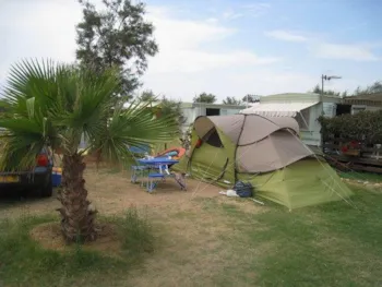 Stellplatz - Stellplatz (Zelt/Wohnwagen + Fahrzeug + Strom + Wasser) - Camping Bleu Marine